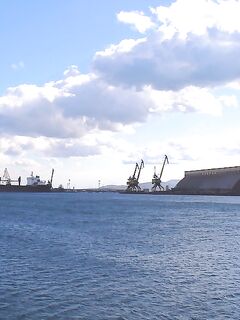 Черное море ждёт эконефть: грязь и мазут идут, но пока рыба ещё стоит