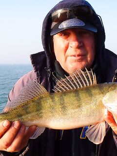 Рождественский холод: по одной-две на удочки, рассвет золотой и судак в отметке