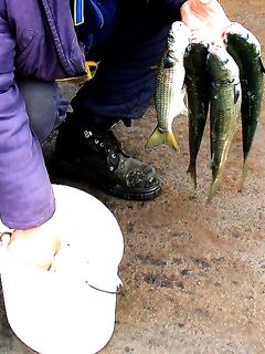 Порт Бургас, «Япончик»: холод, туман, снег и возврат из Поморие к улову