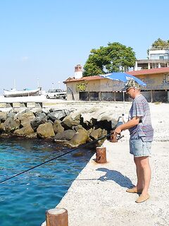 Зелёная «лапина» съедобна, собачек — в море: короткий отчёт с Поморие