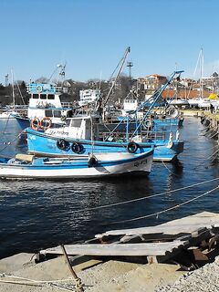 Царево, причал: сингиль на сеть, заготовка наживки под парагад