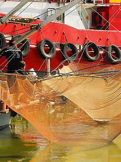 Цаца пошла — самодур №10 и рассвет: морская рыбалка в порту Бургас