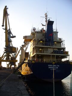 Судак морской в Бургасском заливе: воблеры и блёсны молчат — кльова нет