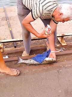 Порт Запад Бургас — вот это рыба: серия фото по улову