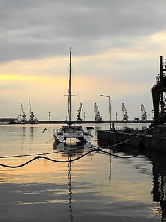 Жара 26–27° и хамса: ждём луфаря и паламиду, сарган по 3–4 — на бомбарду