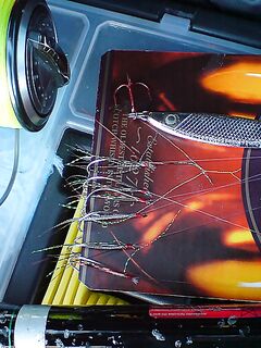 Карагьоз на самодур по полкило — «идёт на голову», сегодня ход мощный