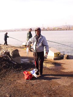 Солнце и бриз, а хищник притих: «олимпийский принцип» зашёл на день