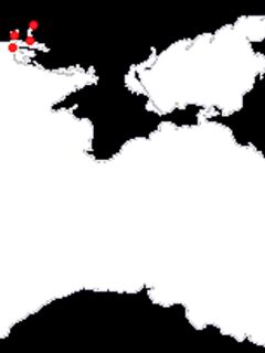 Морской судак — заметка об ареале и Бургасском заливе как точке карты