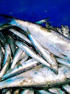 Фотки без слов 2 — хочется знать, что, где и на что сработало