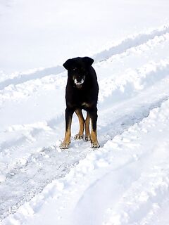 Зимняя морская рыбалка в Бургасе: карагьоз под морозом и ноль реализации