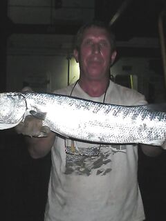 Карибский маршрут — Куба, Мексика, Коста-Рика, Панама, Венесуэла: что брать?