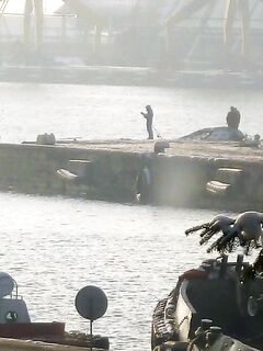 Бургас, из окна офиса: толстая кефаль на подходе и запретный плод манит