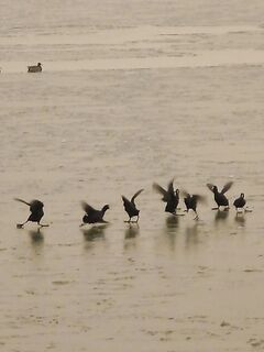 Полярная вибрация пришла — клев выключило, ушли греться