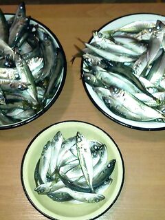 Короткий привет — выхожу в море и держу связь