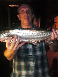 Охота за барракудой — быстрый пилькер и короткие паузы решают