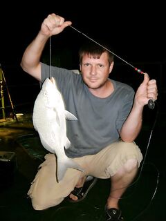 Карибская литрина со дна — 30–35 м, ночь, якорь, кусочки кальмара