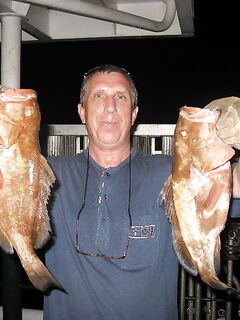 Progreso, Мексика — рейд щедрый: клев шёл ровно без лишних слов