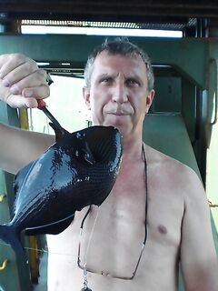 Карибы — чёрную рыбу не стали брать, «золотую» отпустили со словами из сказки