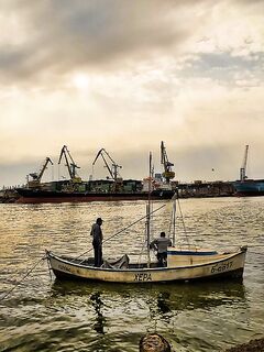 Бургас, цаца пошла: шпроты днём, а вечером подтянется и крупная рыба к ужину