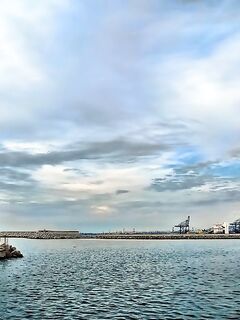 Ставрид пришёл в Бургас: кто умеет берёт на самодур, остальным рынок в помощь