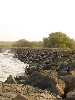 Жезл у Сарафово: три чернокопа до смены ветра, затем сети и тишина на точке