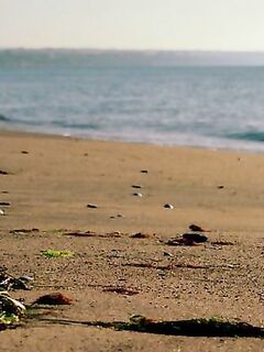 После грозы солнце и монокини, ставридке по ветру уютно, уха на радость