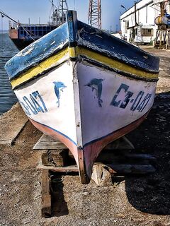 Царево и бомбарда: шноркель и гарпун, у берега трава и кефаль на мелководье