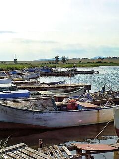 Крайморие и мыс Форос: улитки рапан, сети и ожидание осенней рыбы у слива Мандры