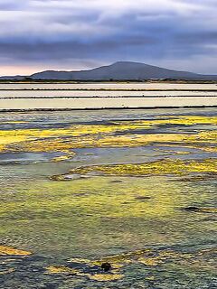 Солниците под Бургасом: нереис из солёной грязи живее магазинного, клев выше