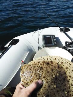 Морская рыбалка — короткий дрейф накануне: что показали поклёвки