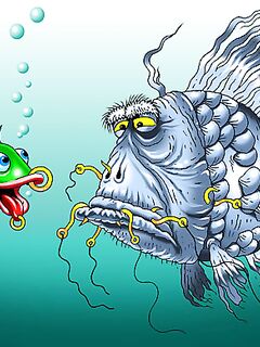 Морские крючки и «растворение»: ленятся доставать, рыба часто погибает — мой взгляд