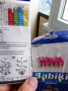 Морской фидер в Италии: сыр в прикормке, крючки выше грузила и морские черви