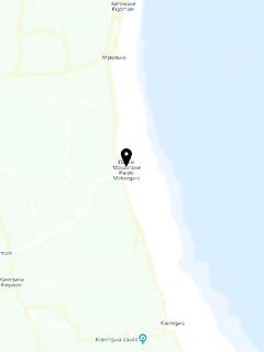 Занзибар, 23.01–03.02 — три ранних выезда по 5 часов: ищу напарника