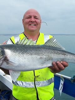 Советы по саргану: ловля с катеров на сильном течении у мыса, скалы и сибасс