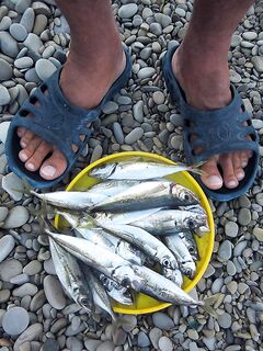 Геленджик, Чёрное море — ровно неделю назад: бомбарда 10 г и белый червячок