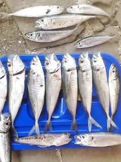 Крым, Судак — ещё одна вечерняя отметка по рокфишингу