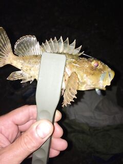 Крым, снова под Судаком — вечерний рокфишинг у каменной гряды