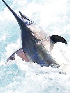 07.04.2010: 3 из 4 атак, плюс два наблюдения и сход на 750 lb — погода шепчет