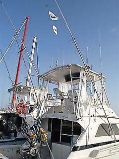 30.04–01.05.2010: 11 атак, три марлина до 300 кг и дроп-бэк на 400 lb стэнд ап