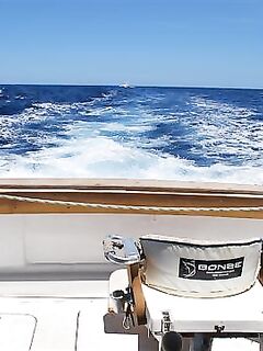 «Не наш день»: видели 250-фунтового марлина, но он ушёл — море тихое, солнце