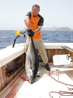 Желтоперый тунец 45 кг и ночная на акул: ветер до 20 узлов держит зону