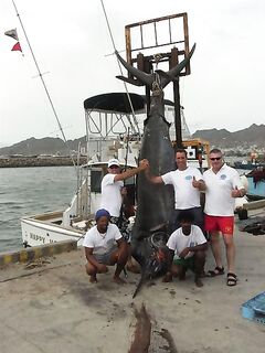 Сао Висенте 04.07.2010: победа капитана Берно и марлин 497 кг в мировой день