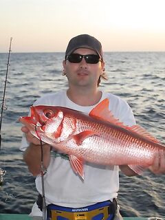 От Мальдив к Кабо-Верде: поппер, джиг, парусники 35 и 50 кг — опыт недели