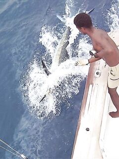 Сант-Антау, Монте де Тригу: банка «Норест» — заметки по точке и дате