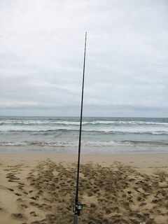 Кабо-Верде: морская рыбалка на Островах Зелёного Мыса — что планировать на месте