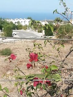 Морская рыбалка на Кипре по сезонам: тунец, чипура, кальмар, сибас и майские подходы