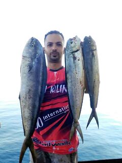 «Пошла рыба на Кипре»: знакомый парень ловит — публикую свежую фотку с береговой