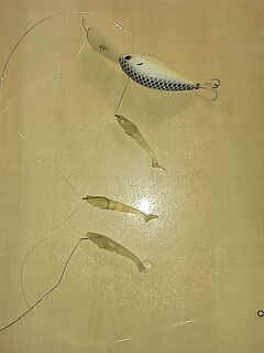 Поверхностники бессмысленны на гребне: кренк + три светящихся силиконки — идея на волну