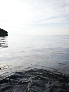 Гладь моря и паника малька на падении приманки: искупался, но по рыбе — тишина