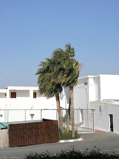 Ветер поднялся, море спокойно у берега: покупался и за фруктами — гранаты, цитрус